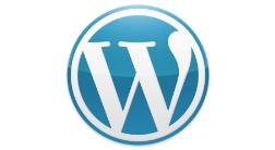 Programación web Wordpress en Madrid